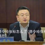 青海德令哈张标怎么了(德令哈张标违规最新消息)