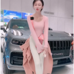 东莞虎门领克凯丽的直播视频，领克凯丽直播的事件是怎么回事 ？